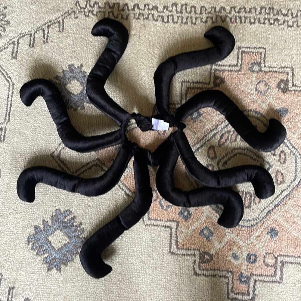 Hanna Andersson spider  legs costume